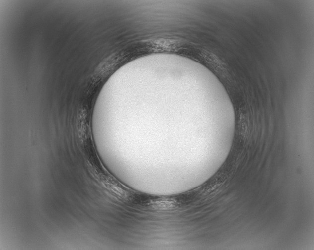 X0000052970318200508051021