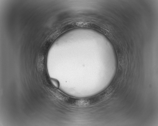 X0000052970319200508051021