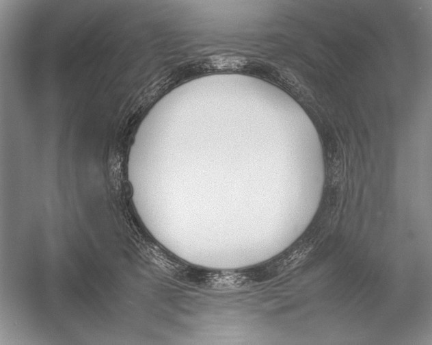 X0000052970321200508051021