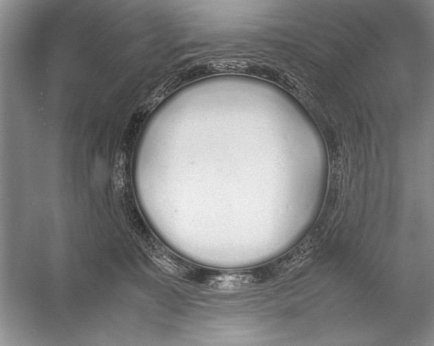 X0000052970323200508051021