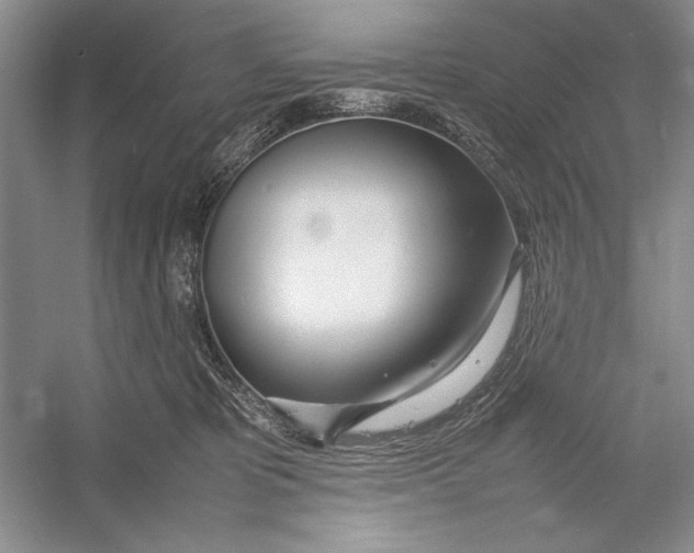 X0000052970325200508051021