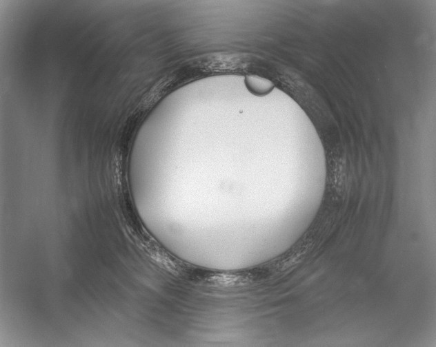 X0000052970326200508051021