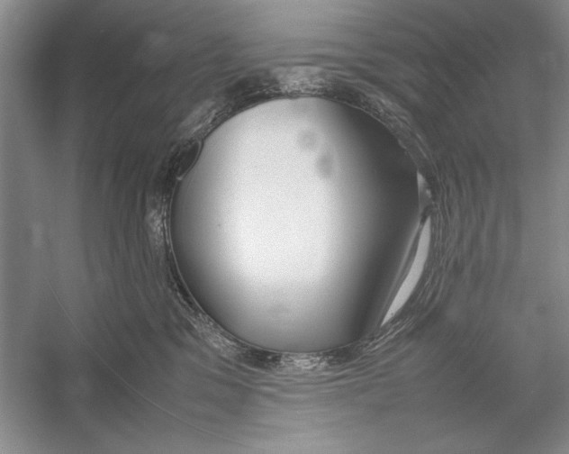 X0000052970329200508051021