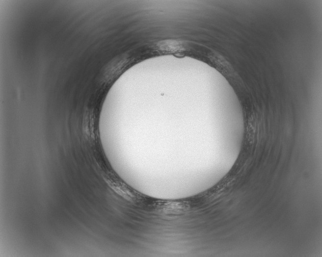 X0000052970330200508051021