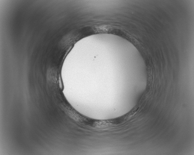 X0000052970331200508051021