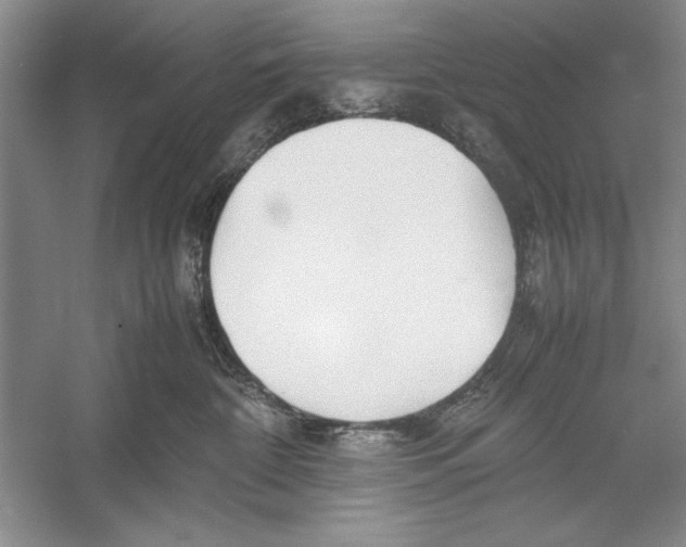 X0000052970332200508051021