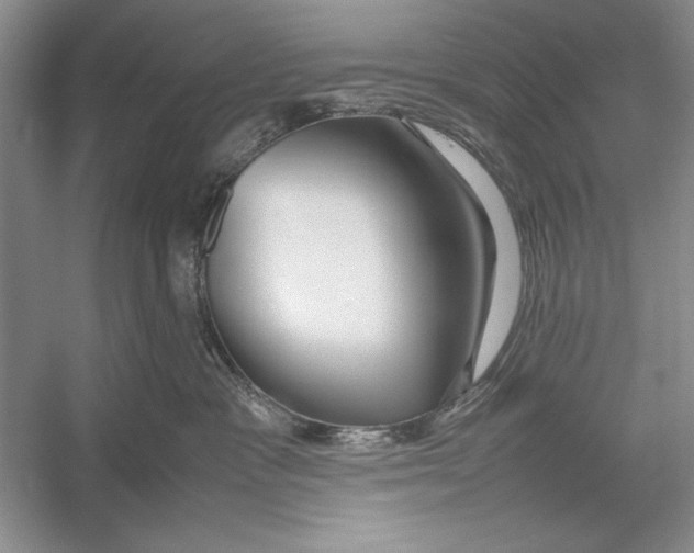 X0000052970333200508051021