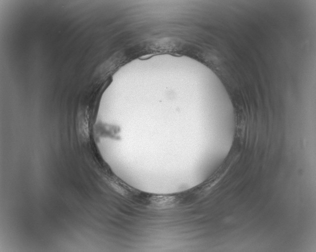 X0000052970334200508051021