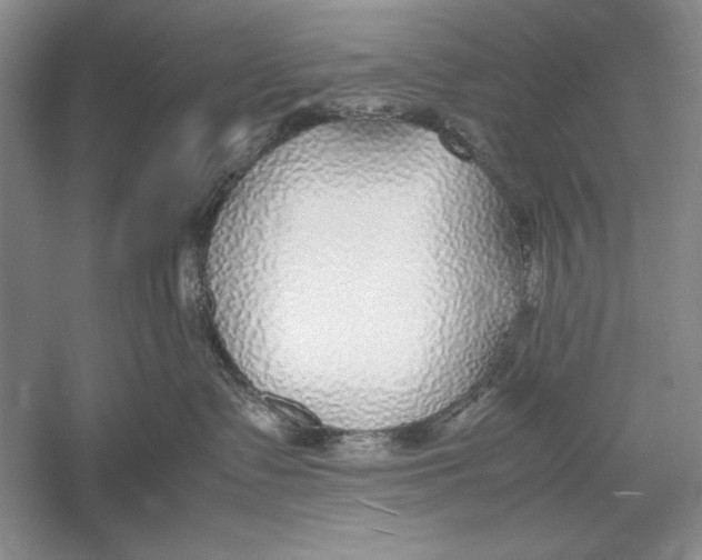 X0000052970335200508051021