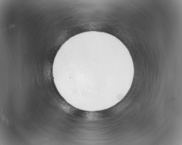 X0000052970336200508051021