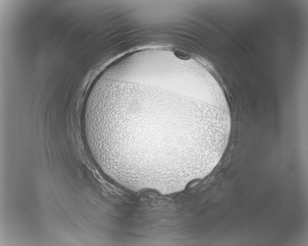 X0000052970337200508051020