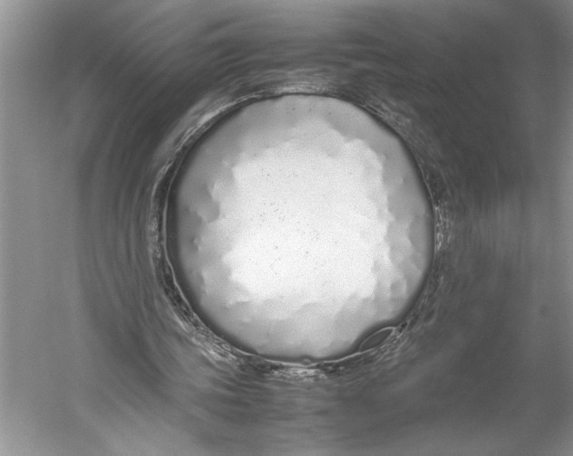 X0000052970339200508051020