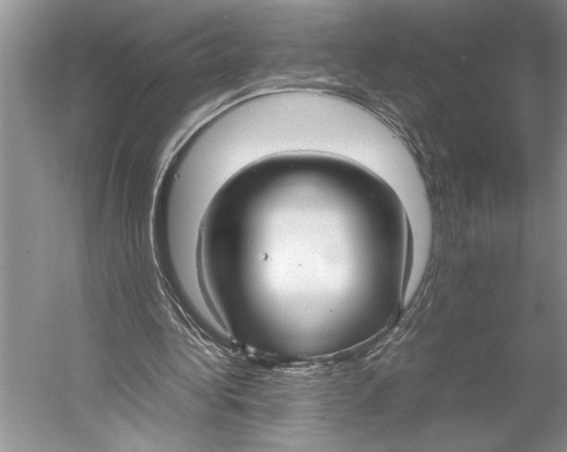 X0000052970340200508051020