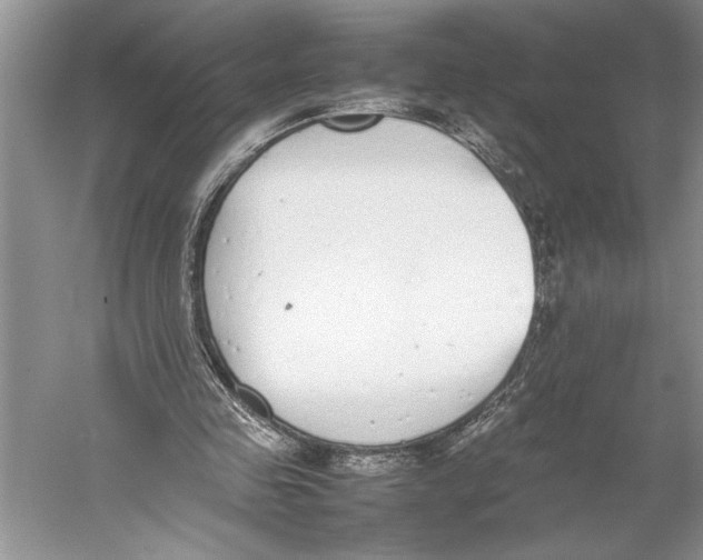 X0000052970341200508051020