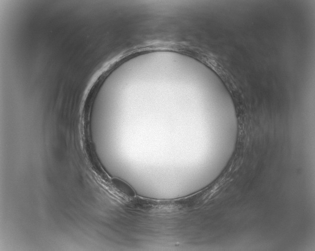 X0000052970342200508051020