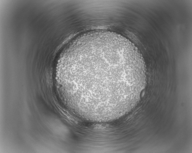 X0000052970346200508051020