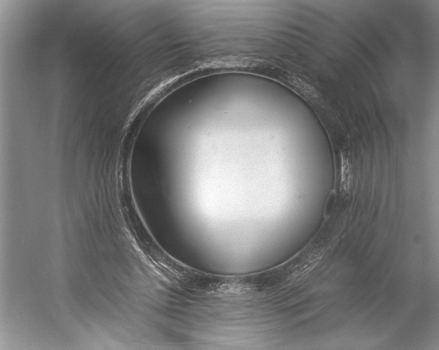 X0000052970348200508051020