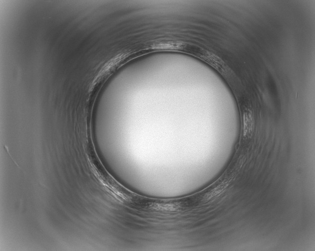 X0000052970349200508051020