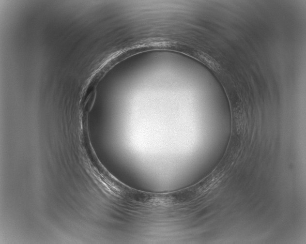 X0000052970350200508051020