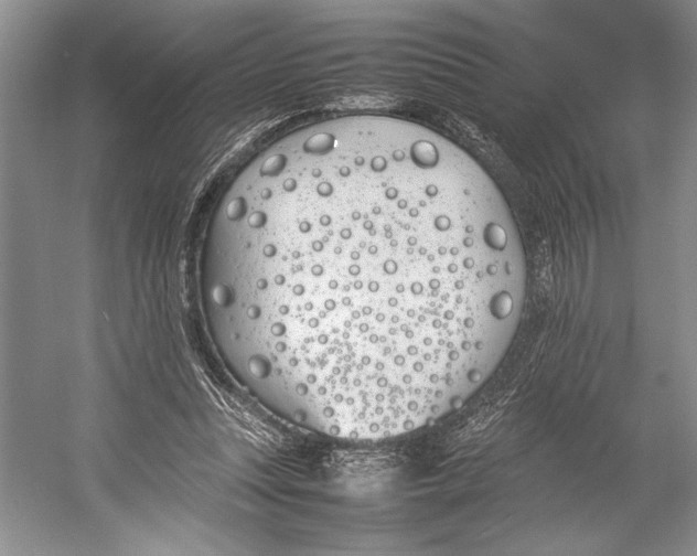 X0000052970351200508051020