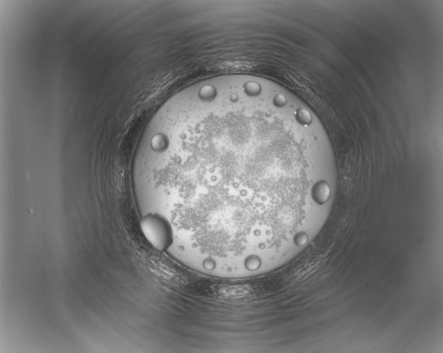 X0000052970355200508051020