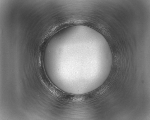 X0000052970358200508051021