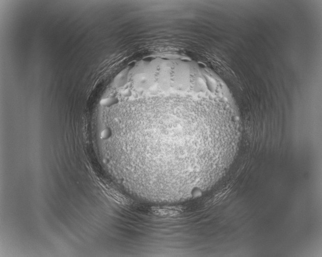 X0000052970359200508051021