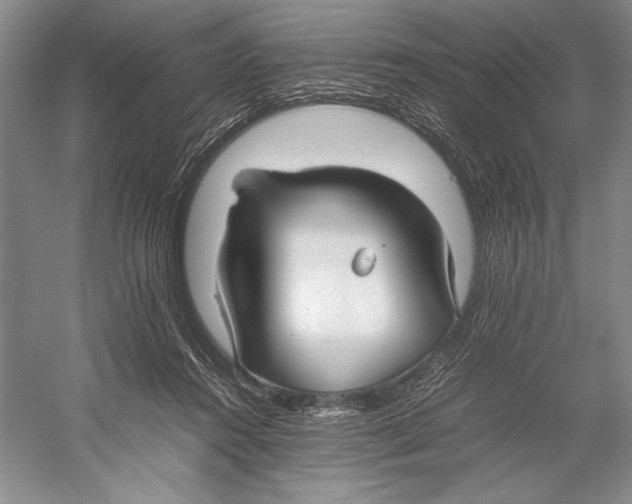 X0000052970360200508051021