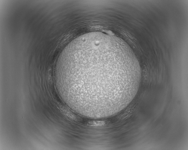 X0000052970361200508051021