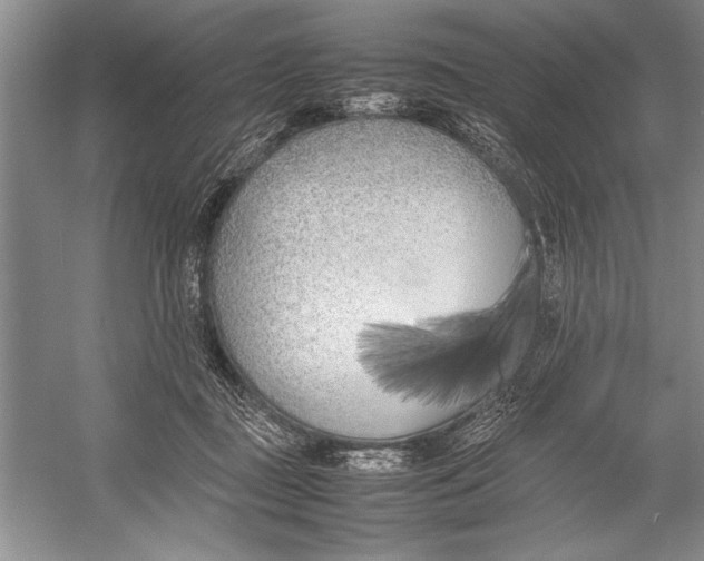 X0000052970363200508051021