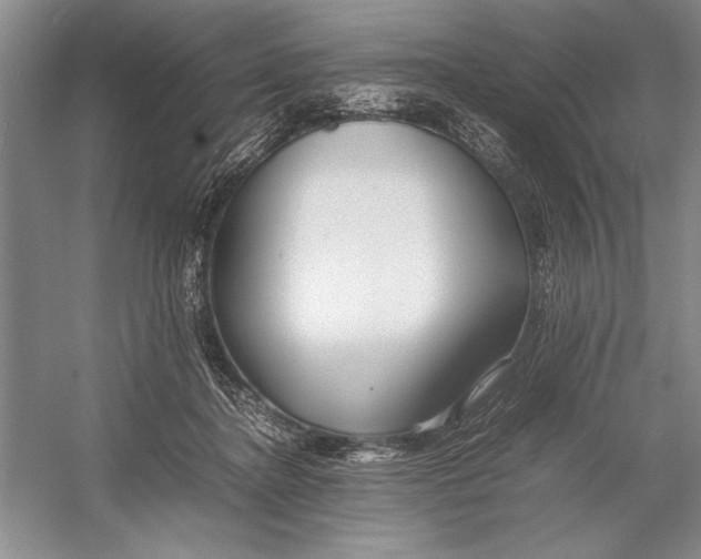 X0000052970364200508051021