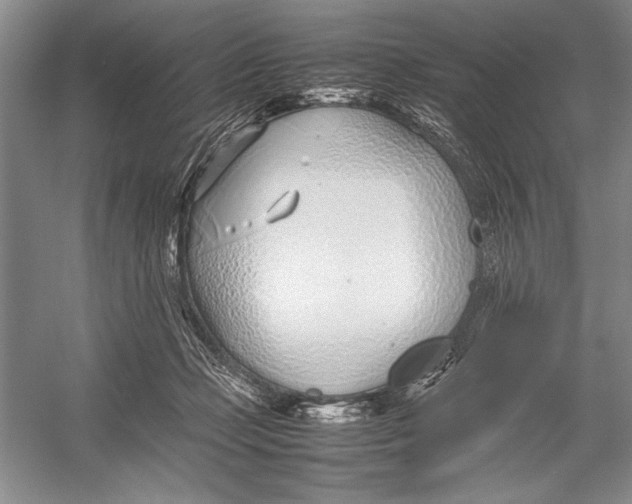 X0000052970365200508051021