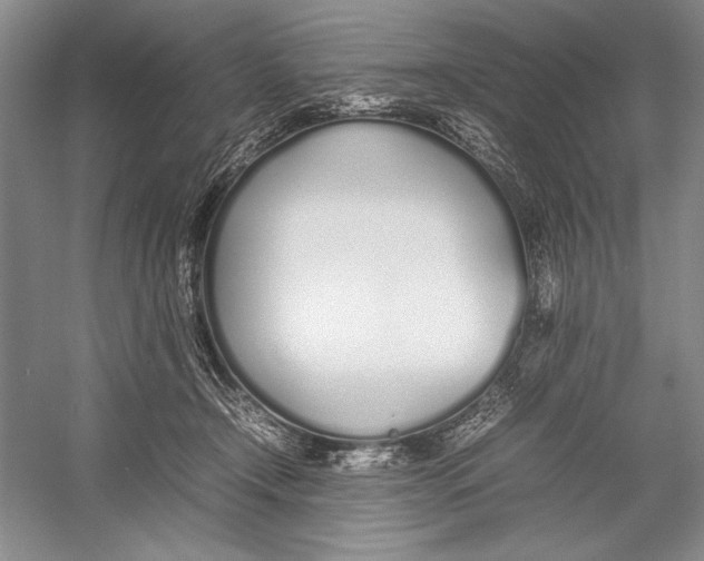 X0000052970366200508051021