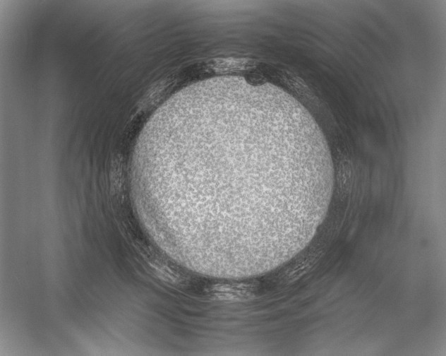 X0000052970367200508051021