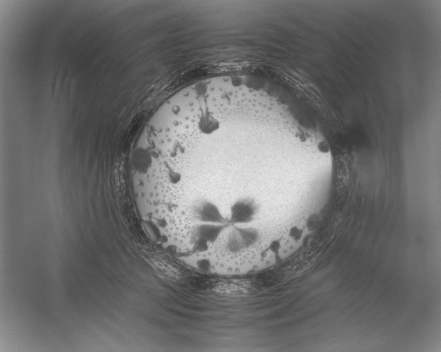 X0000052970369200508051021