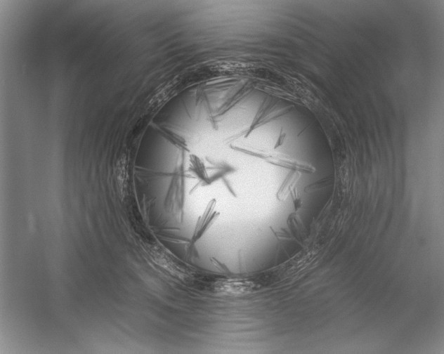 X0000052970372200508051021