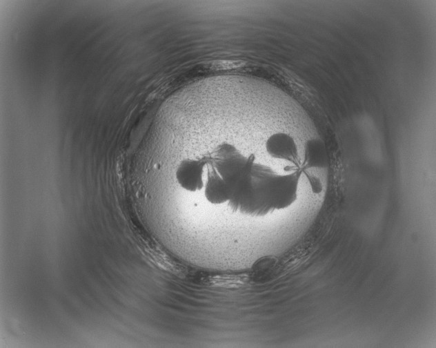 X0000052970373200508051021