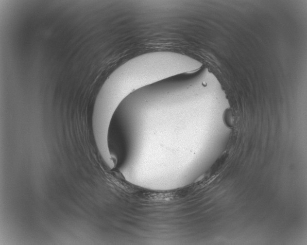 X0000052970377200508051021