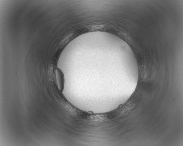 X0000052970378200508051021