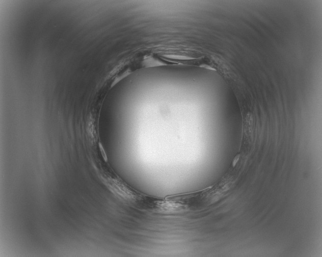 X0000052970380200508051021