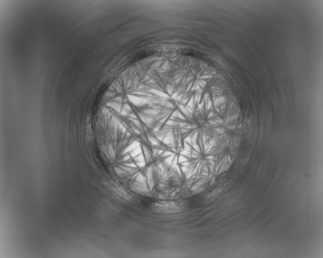 X0000052970381200508051021