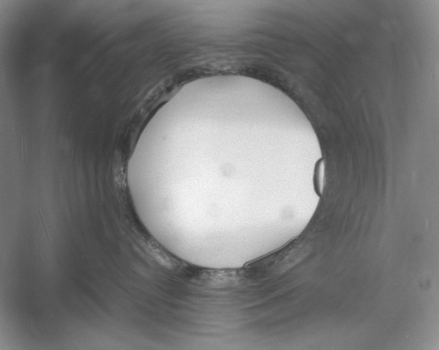 X0000052970384200508051021