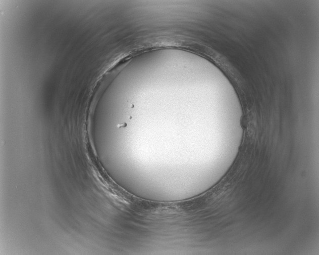 X0000052970386200508051020