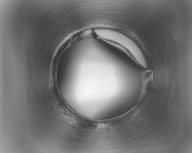 X0000052970388200508051020