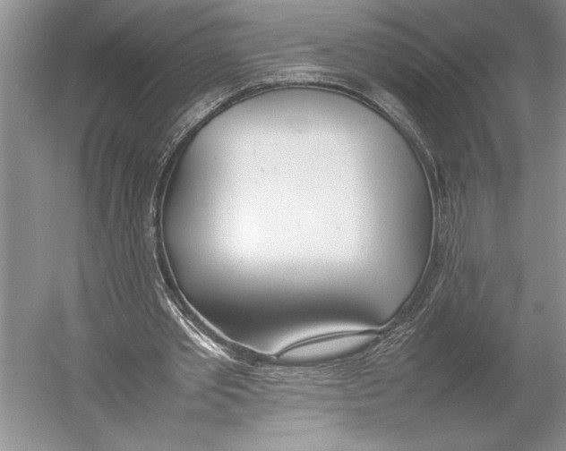 X0000052970389200508051020