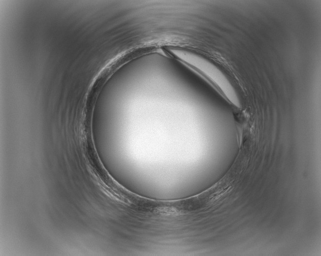 X0000052970392200508051020