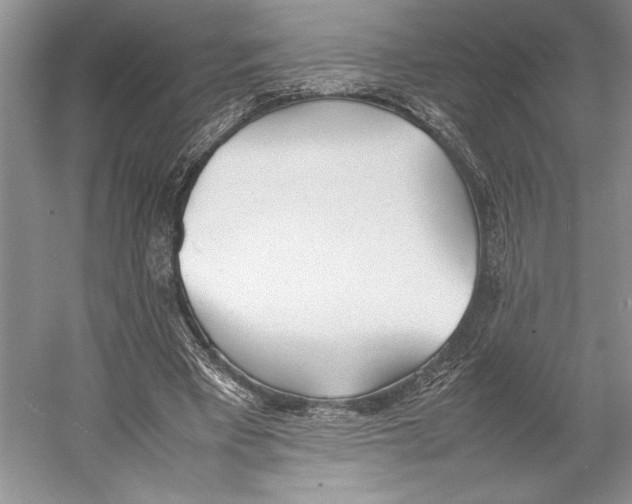 X0000052970393200508051020