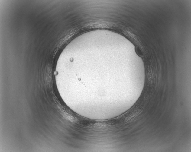 X0000052970394200508051020