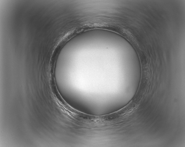 X0000052970395200508051020