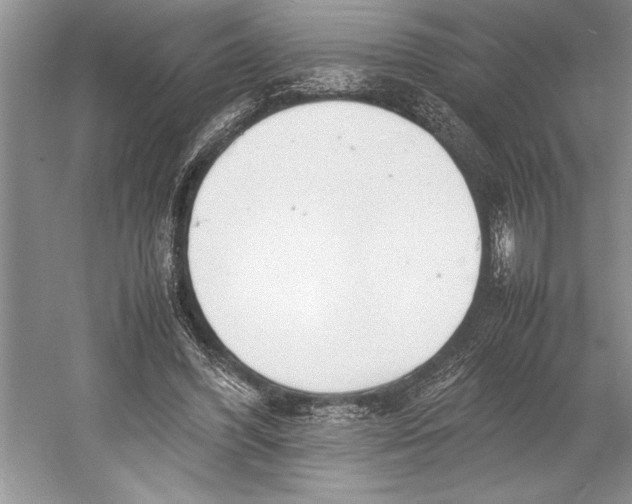 X0000052970396200508051020